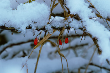 Similar image 21989167