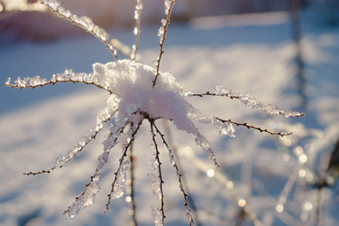 Similar image 21989168