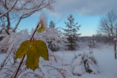 Similar image 21989169