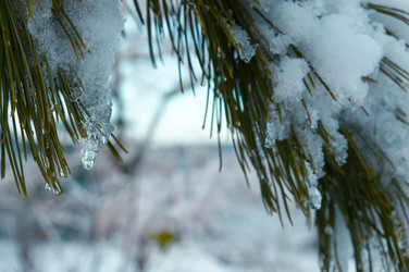 Similar image 21989170