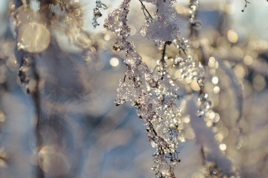 Similar image 21989171