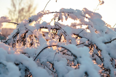 Similar image 21989172