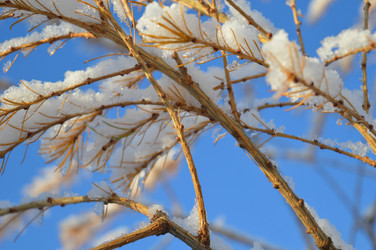 Similar image 21989173