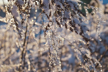 Similar image 21989174