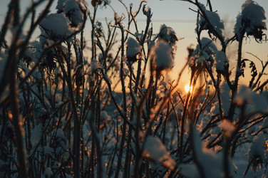 Similar image 21989175