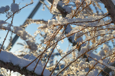 Similar image 21989176