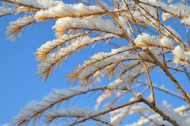 Similar image 21989177