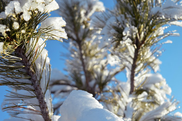 Similar image 21989178