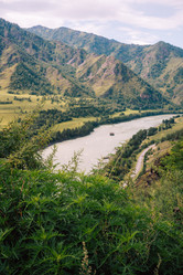 Similar image 21979748