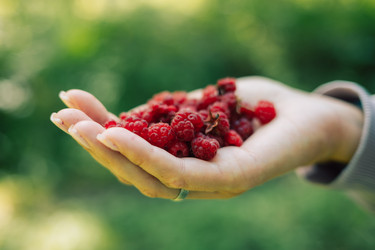 Similar image 21979749