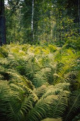 Similar image 21979750