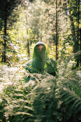 Similar image 21979752