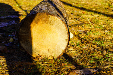 Similar image 21988349