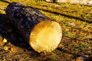 Similar image 21988351