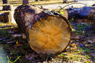 Similar image 21988352