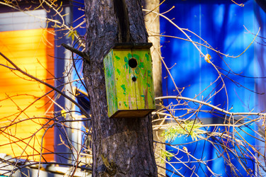 Similar image 21988354