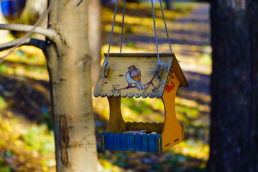 Similar image 21988355