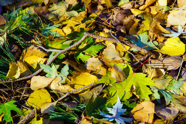 Similar image 21988357