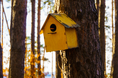 Similar image 21989388