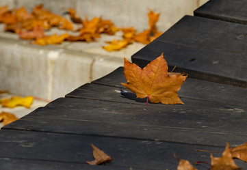 Similar image 21986056