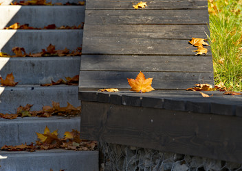 Similar image 21986057