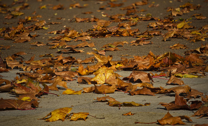 Similar image 21986059