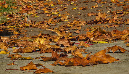 Similar image 21986060