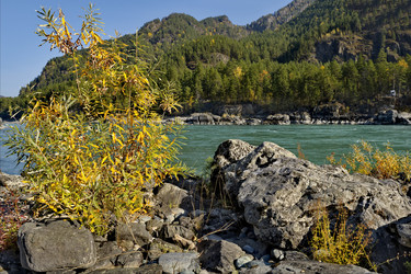 Similar image 21986062