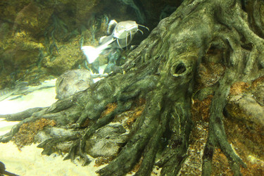 Similar image 21989179