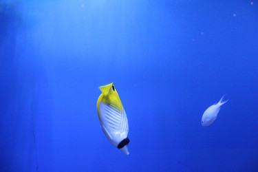 Similar image 21989181