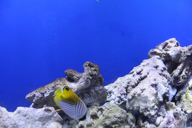 Similar image 21989182