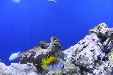 Similar image 21989183