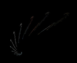 Similar image 21977004