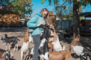 Similar image 21979754