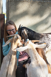 Similar image 21979756