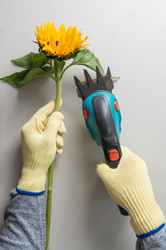 Similar image 21979763