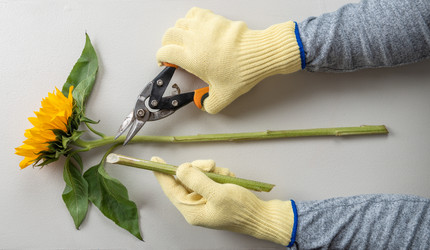 Similar image 21979764