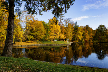 Similar image 21977829