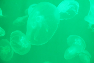 Similar image 21989188