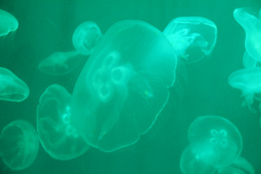 Similar image 21989189