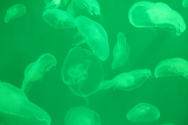 Similar image 21989190