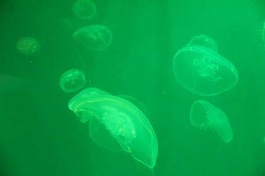 Similar image 21989192