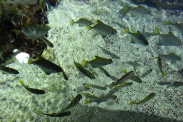 Similar image 21989193