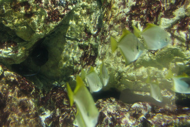 Similar image 21989195