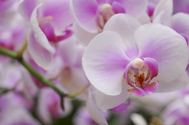 Similar image 21989207