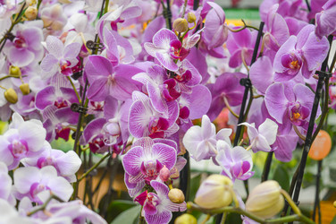 Similar image 21989209