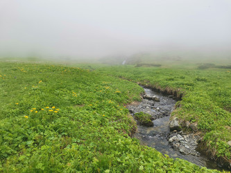 Similar image 21978039