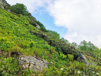 Similar image 21986003