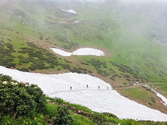 Similar image 21986004