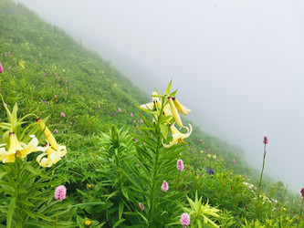 Similar image 21986007